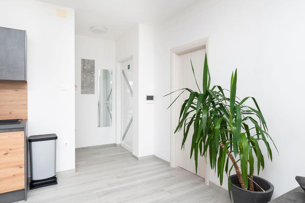 Apartments Grubisic - Sibenik - Parking Included Εξωτερικό φωτογραφία
